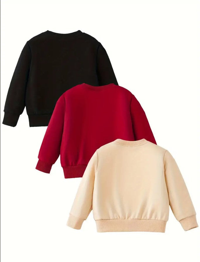 3Pc Sweatshirt Combo Pack